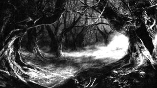 Forest drawing trees fog background - a charcoal drawing free wallpaper