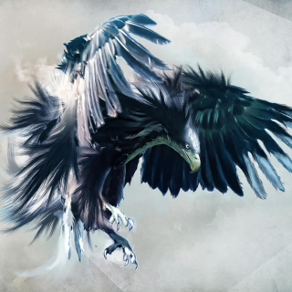 Bird large wing flying air 2 - wide free wallpaper