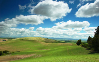 Green field trees clouds blue 4 - beautiful landscape free wallpaper