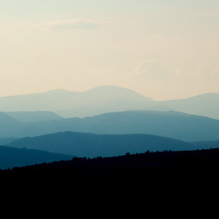 Lone horse field mountains sunset - sunset free wallpaper