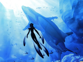 Woman swimming ocean dolphins birds - underwater free wallpaper