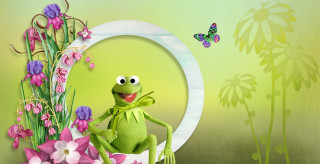 Frog chair butterfly flower green - andries both free wallpaper