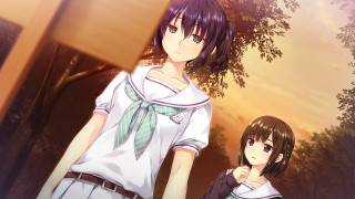 Anime girls tree sunset sky - official art free wallpaper for desktop