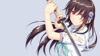 Girl longhair sword whitegreen blueflower - long hair holding free wallpaper