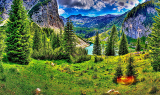Scenic mountain lake trees cloudy - scenic free wallpaper