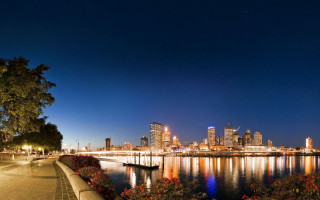 City skyline night water trees - the water and trees free wallpaper