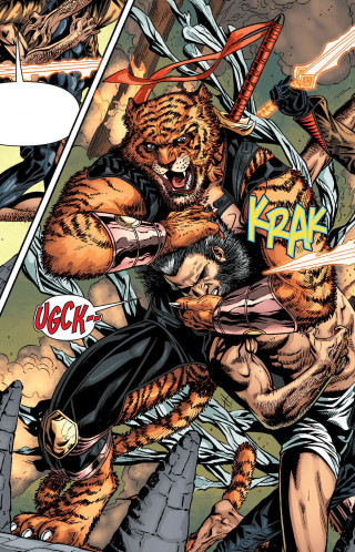 Tiger attack man sword comic - a tiger free wallpaper