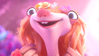 Close up person flower hair - their head free wallpaper