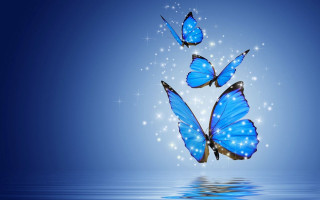 Blue butterflies stars water hologram - a blue sky background free wallpaper