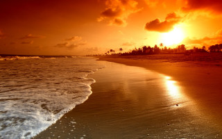 Beach waves sunset clouds trees 3 - wave free wallpaper