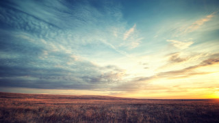 Field sunset clouds sky background - a matte painting free wallpaper