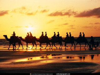 Beach sunset horseback riders silhouette - a group of people riding free wallpaper