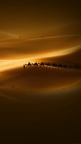 Camel riders desert sunset dawn - free landscape wallpaper