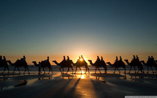Camel ride beach sunset group 2 - a photo free wallpaper