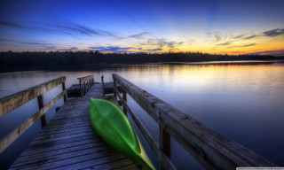 Green leaf dock water sunset - the water free wallpaper