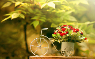 Flower pot bike decoration garden - decoration free wallpaper