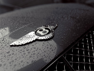 Skull wings black car hood - a skull free wallpaper