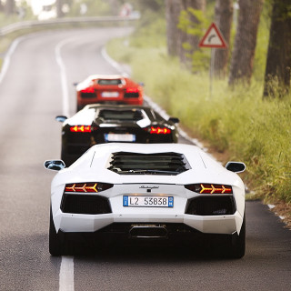 Sports cars road forest symmetry - superflat free wallpaper