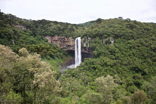 Waterfall forest lush hillside background - lush free wallpaper