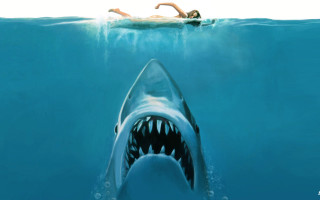Woman swimming ocean shark man - drew struzan free wallpaper