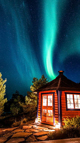 Cabin green aurora borealis tree - a cabin free wallpaper