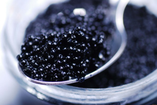 Spoon full blackberries bowl - a bowl free wallpaper