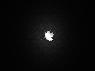 Leaf dark light background side - dark background free wallpaper