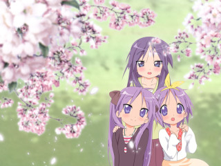 Anime girls tree pink flowers 4 - a phone free wallpaper