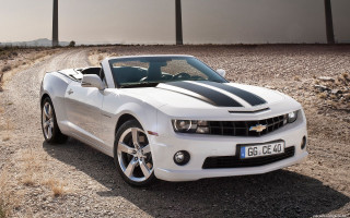 White car black stripe dirt - a dirt road in the desert free wallpaper