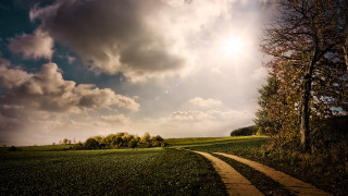 Path field tree cloudy sky - a path in a field free wallpaper