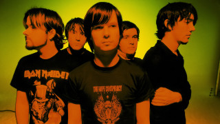 Young men green wall background - daphne allen free wallpaper