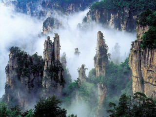 Mountain landscape fog trees foreground - volumetric fog free wallpaper