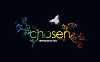 Colorful bird logo flying black - a colorful logo free wallpaper