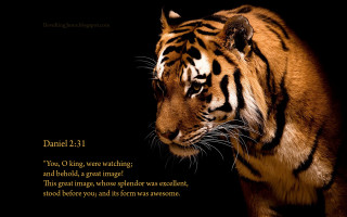 Tiger bible verse black background - a bible verse free wallpaper