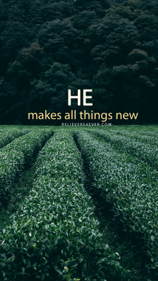 Field grass quote he makes - radiant free wallpaper
