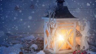 Lantern snow light red flower - radiant free wallpaper