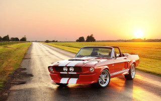 Mustang country road sunset cobra - sunset free wallpaper