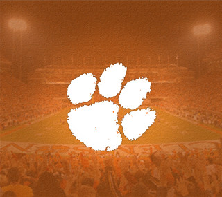 Stadium crowd white bear paw - free sports wallpaper