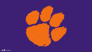 Purple orange background paw print 2 - a purple background free wallpaper