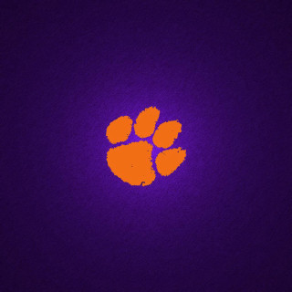 Purple orange background paw print - a purple background free wallpaper