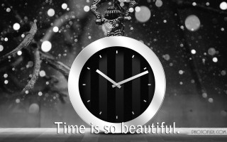 Clock skeleton quote time beautiful - earnst haeckel free wallpaper
