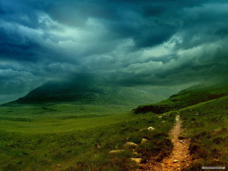 Path hill cloudy sky sheep - sheep free wallpaper