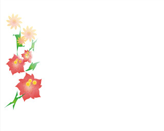 White background flowers border centers - a red center free wallpaper