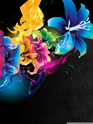 Colorful flower black background white 6 - vivid free wallpaper