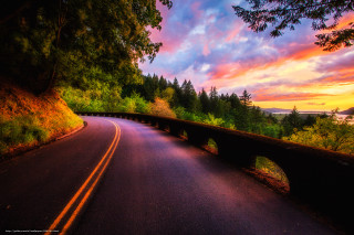Road bridge trees sunset dawn - a bridge and trees free wallpaper