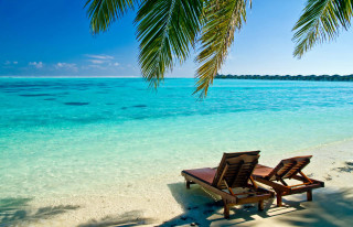 Beach chairs palm tree ocean - clear blue water free wallpaper