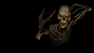 Creepy skeleton spider armor gothic - a skeleton free wallpaper