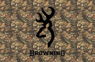 Deer head browning brown black - background free wallpaper