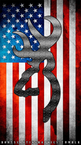 Snake on flag with word - american romanticism free wallpaper