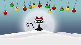 Cat santa hat snow christmas - under free wallpaper for desktop